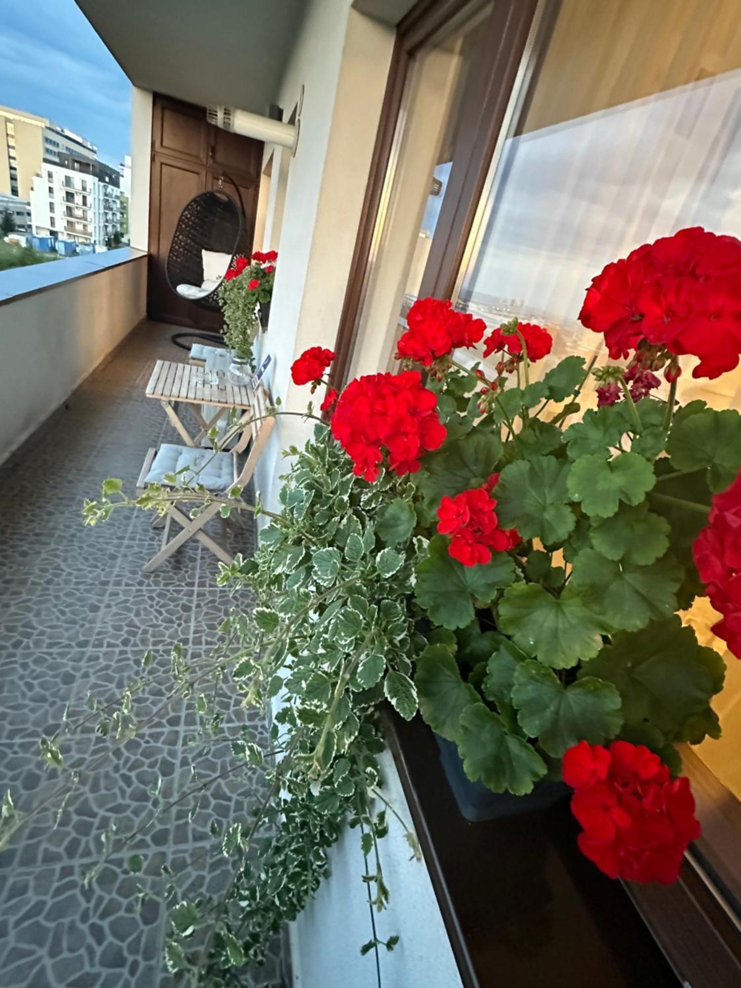 קלוז'-נאפוקה Apartament Wonderful View מראה חיצוני תמונה